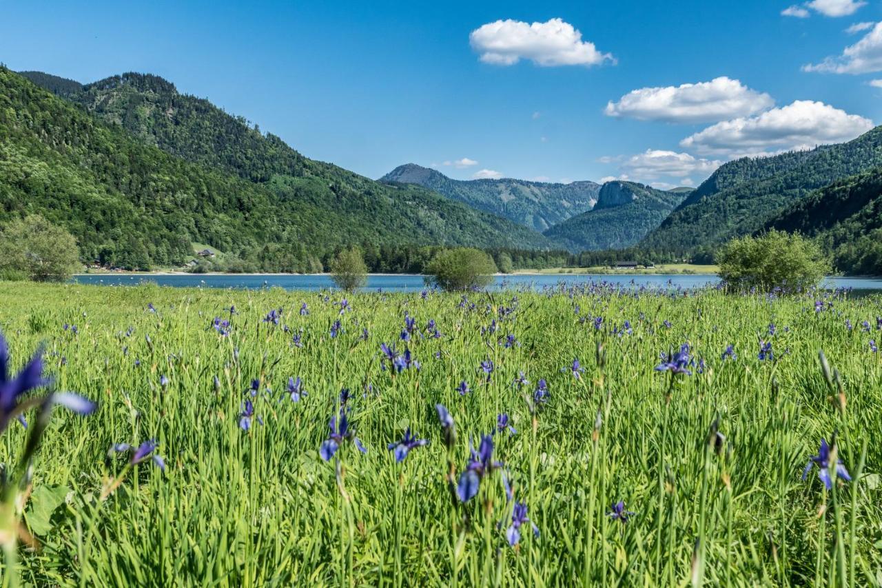 Hotel Fischerwirt Natur Waldspa Faistenau Buitenkant foto